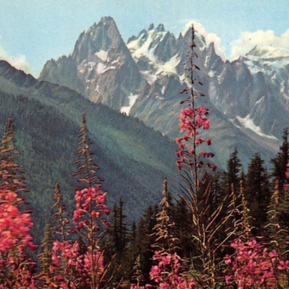 Meet your Posher - Picture 1 of 2